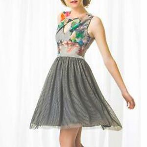 Anthropologie Weston Floral Dress with Tulle Skirt